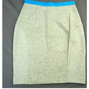 Opening Ceremony Pencil Paneled Skirt Women's Size O EUC